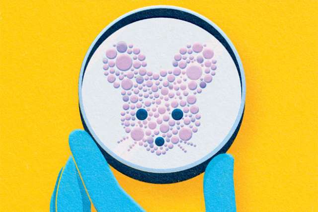 Potential Animal Model Improve Treatments for MS - U Magazine Spring 2023