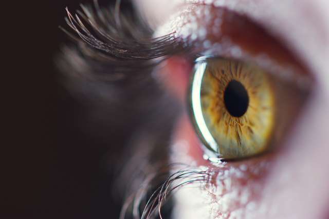 Retina close-up showing green-brown iris and eyelashes