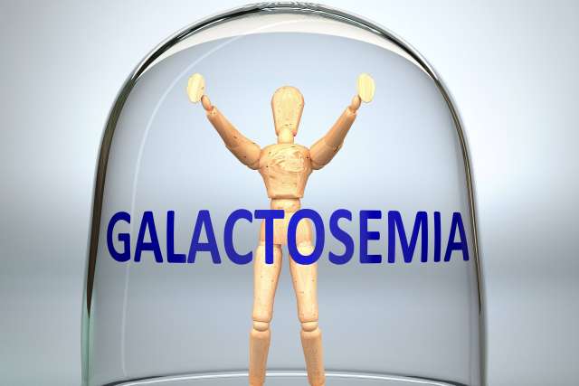 Wooden mannequin inside glass dome with GALACTOSEMIA text