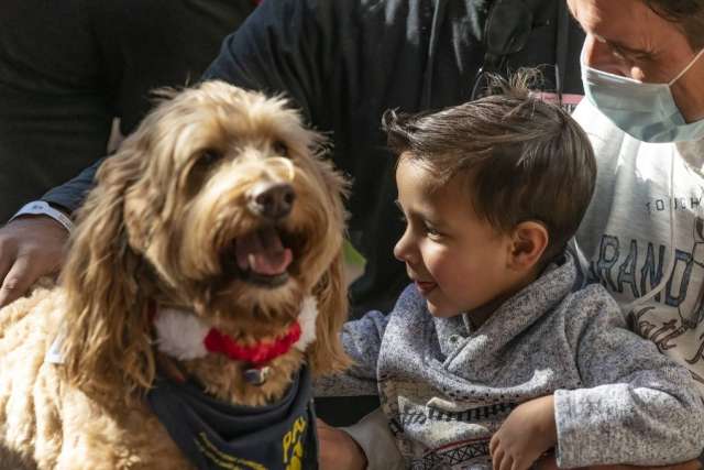 Young boy smiling at fluffy dog with bandana
