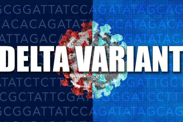 Text "DELTA VARIANT" over an image of a split red-and-blue coronavirus, with a DNA sequence background.