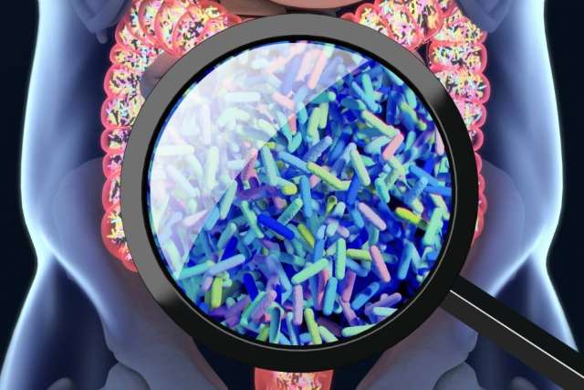 3D illustration of the digestive tract: A magnifying glass focuses on the large intestine, revealing a dense, colorful concentration of gut bacteria.