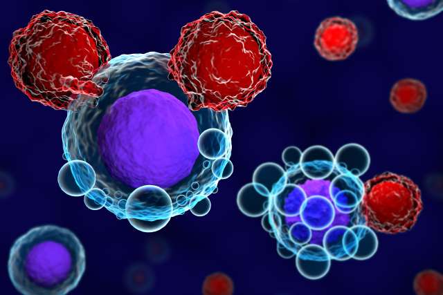 Graphic of t-cells attacking tumor cell
