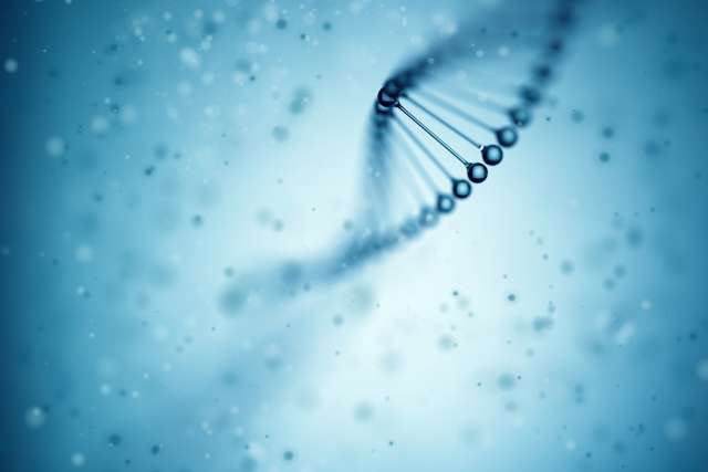DNA