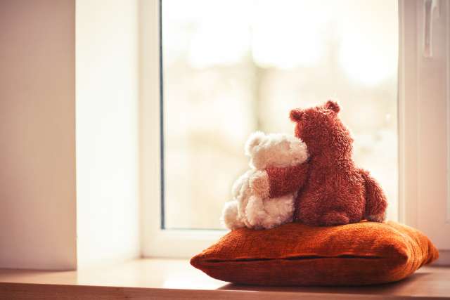 Teddy bears