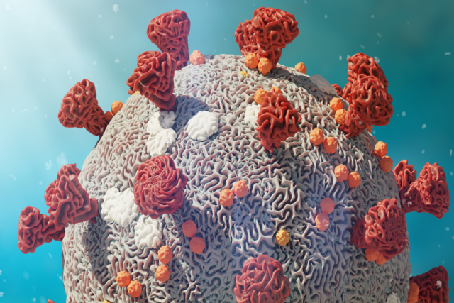 a medical illustration of a virus with red, white and orange nodules in front of a blue background