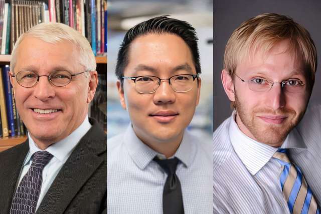 headshots of Witte, Lee and Di Carlo.