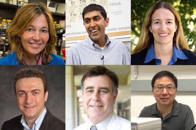 AAAS fellows 2018