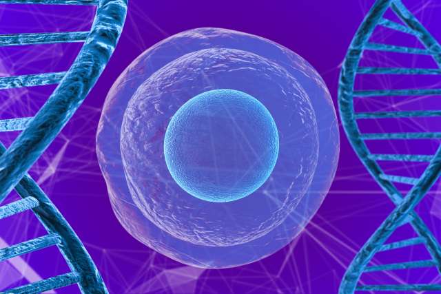 Graphic of stem cell and DNA strand