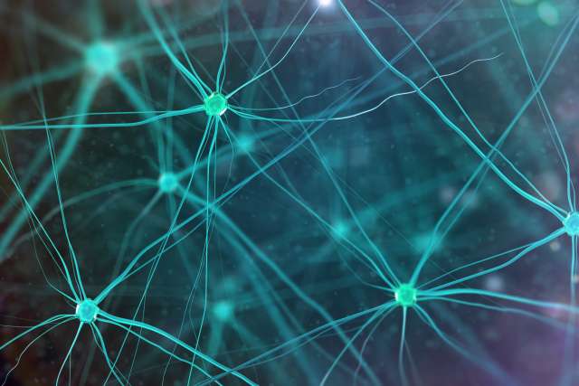 Illustration of neurons 