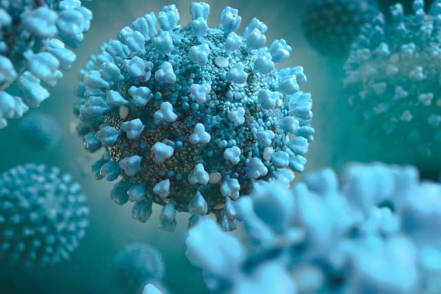 Visualization of the COVID 19 virus