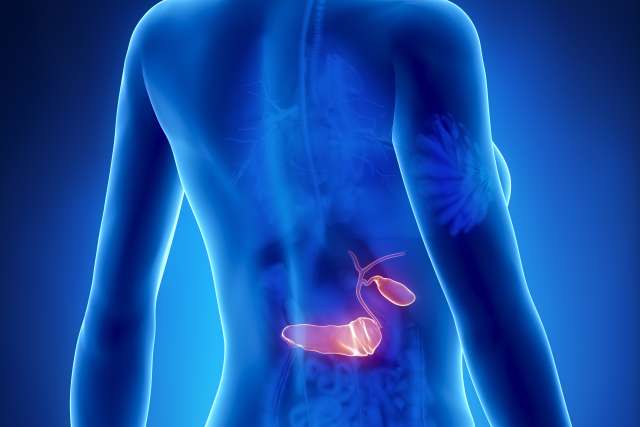 Illustration of pancreas in body