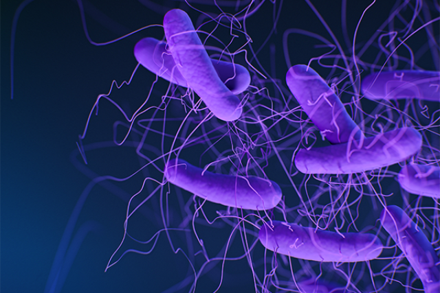 3D illustration of Clostridioides difficile bacteria with hair-like flagella, associated with antibiotic-resistant infections.