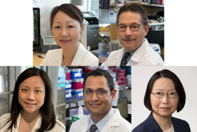 Collage of physicians clockwise from top left: Lili Yang; Dr. Donald Kohn; Xian-Jie Yang; Dr. Dinesh Rao; Dr. Caroline Kuo.