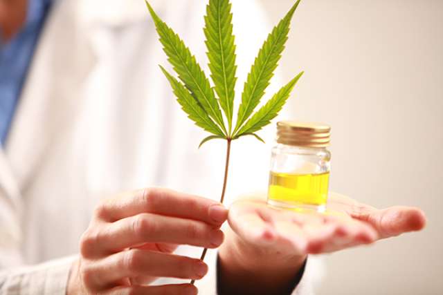 Cannabis leaf and liquid