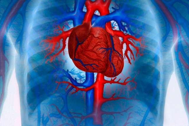 Man with enhanced cardiovascular system