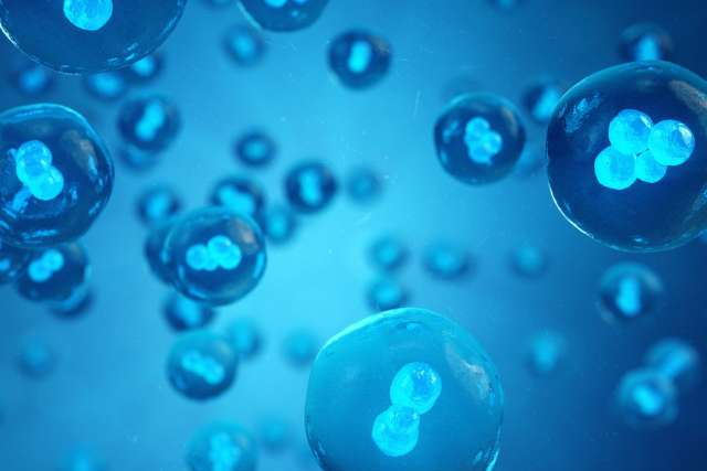 Cells 3D illustration, early stage embryo scientific concept Stem cell research
