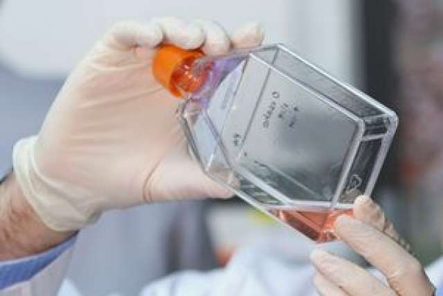 A researcher holding a lab vial containing orange liquid.