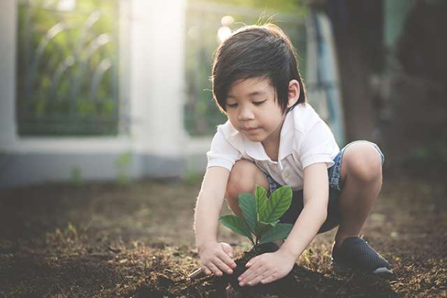 Child planting