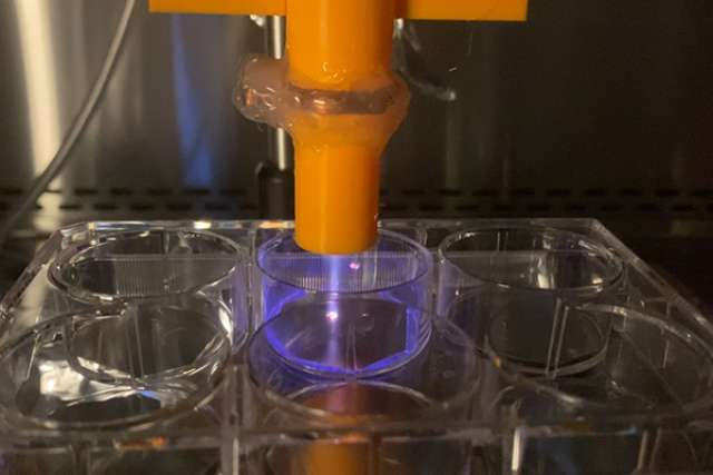 Cold plasma device