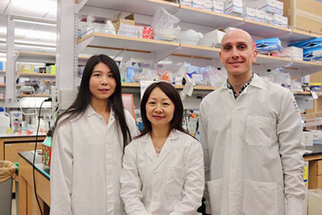 Creatine researchers