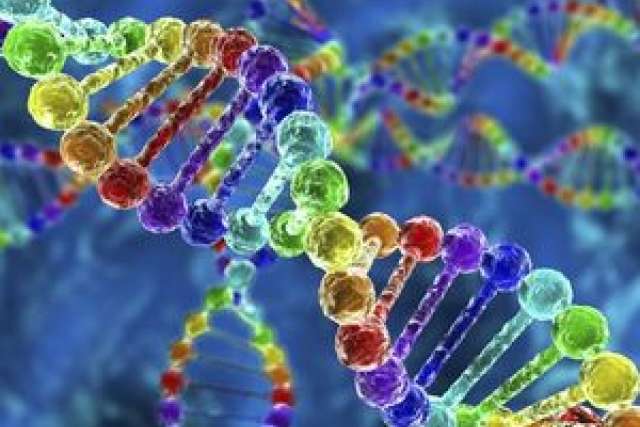 A brightly colored 3D rendering of a double helix DNA strand, with each base pair depicted as a different color.