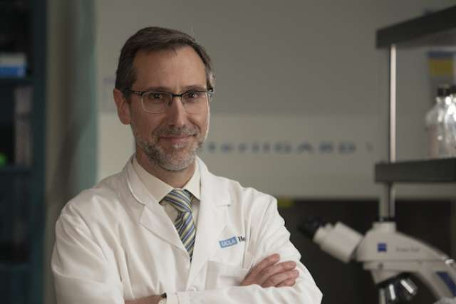 Dr. Antoni Ribas UCLA