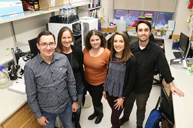 Health researchers