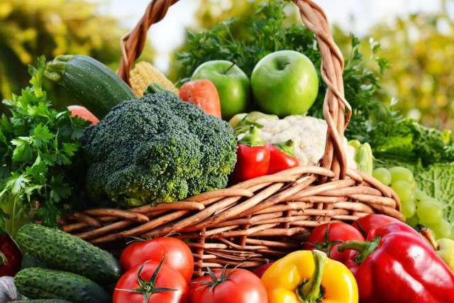 Raw organic vegetables in the garden