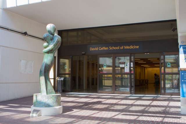 David Geffen School of Medicine