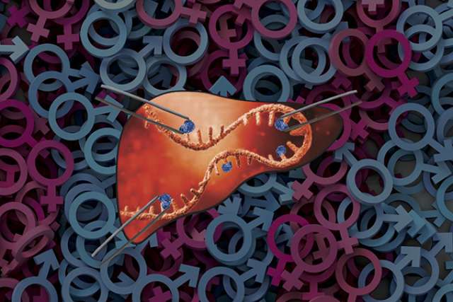 RNA Modifications Liver