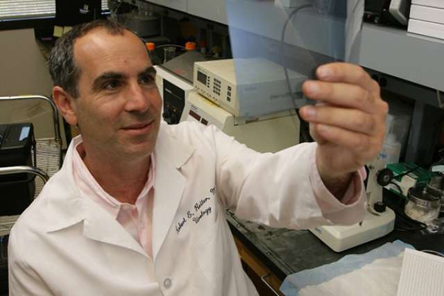 Dr. Robert Reiter in the lab