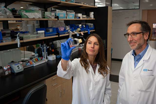 Ribas and Parisi UCLA