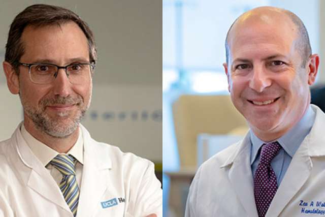 From left: Dr. Antoni Ribas, Dr. Zev Wainberg