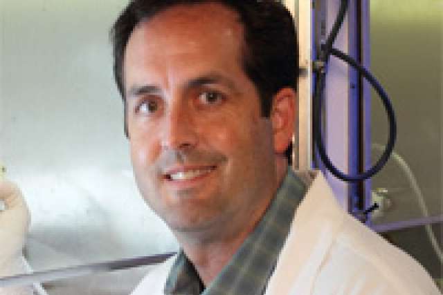 Robert M. Prins, PhD