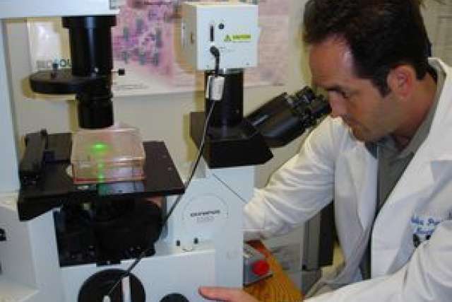 Scientist in a lab coat using a microscope on a wooden table.
