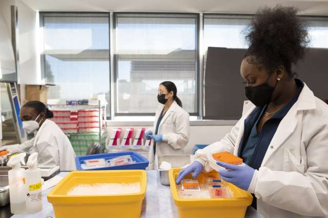 SwabSeq staff members pipetting in the lab.