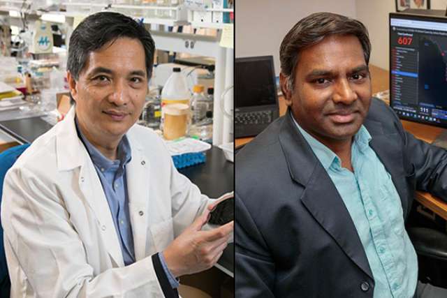 Song Li, PhD, and Vaithilingaraja Arumugaswami, PhD
