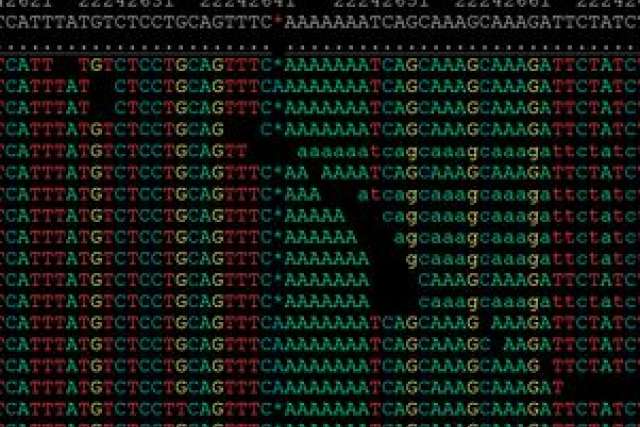 DNA sequence data displayed in colorful nucleotide patterns.