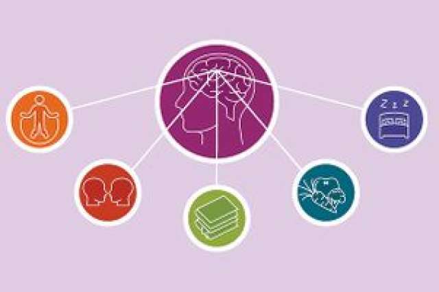 Illustration depicting a brain with connected icons representing various wellness aspects.