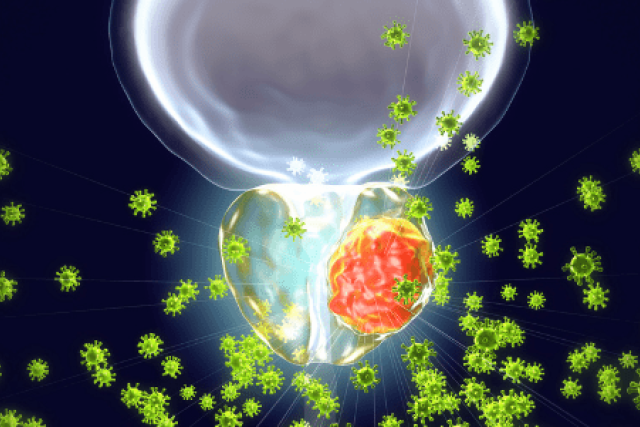 Illuminated prostate and torso graphic with radiating green particles indicating androgen deprivation therapy targeting a red tumor.