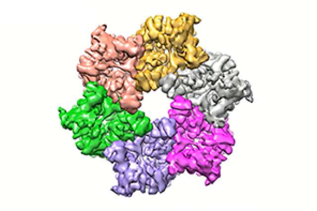 Urea channel closed structure