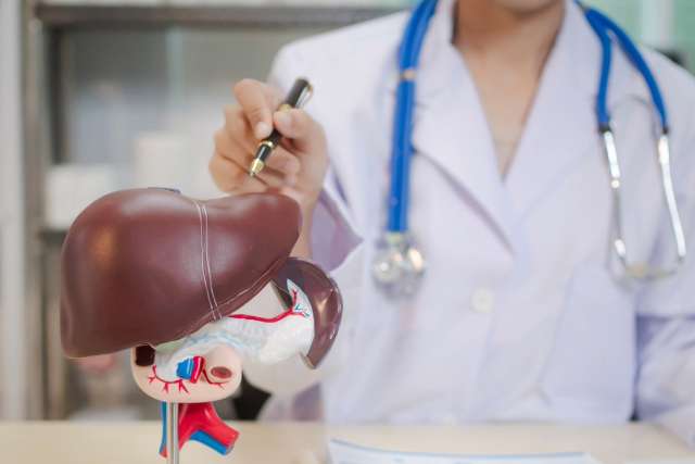 22nd Annual Patient Symposium, Liver Diseases: Update 2026
