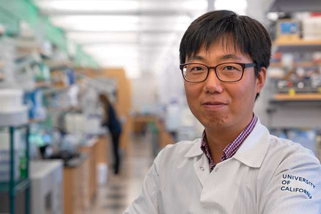 UCLA cancer researcher Ha Neul Lee