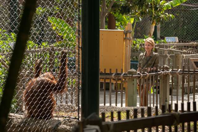 Dr. Barbara Natterson-Horowitz visits with her favorite orangutan at the Los Angeles Zoo. (Photo by Milo Mitchell)