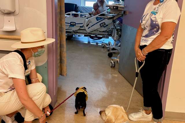 PAC animals visited with patients at Mattel Children's Hospital following the fashion show.