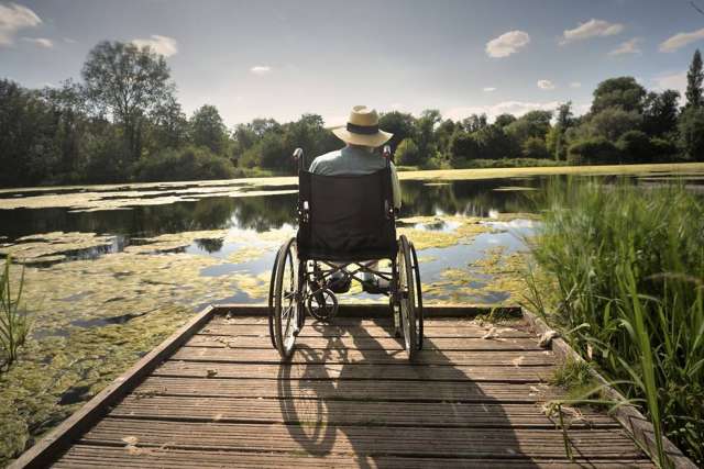 A person in a straw hat sits in a wheelchair at the end of a wooden dock, looking out over a marshy pond surrounded by trees on a sunny day.