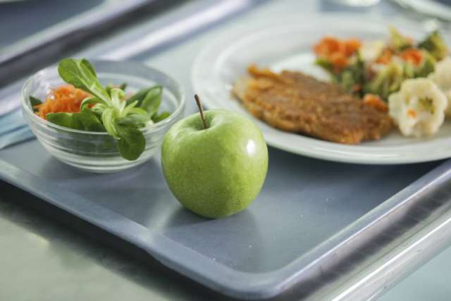 Green apple on a tray next to a small bowl of salad and a plate with vegetables and a patty.