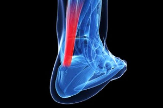 Video Library Orthopedics