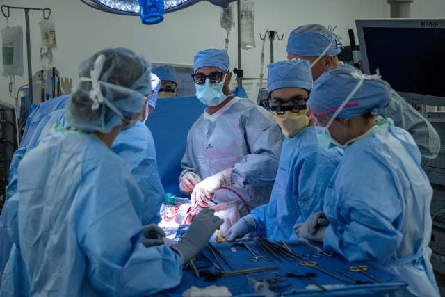 Surgeons perform a bladder transplant in an operating room.